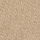 Metallic Bronze